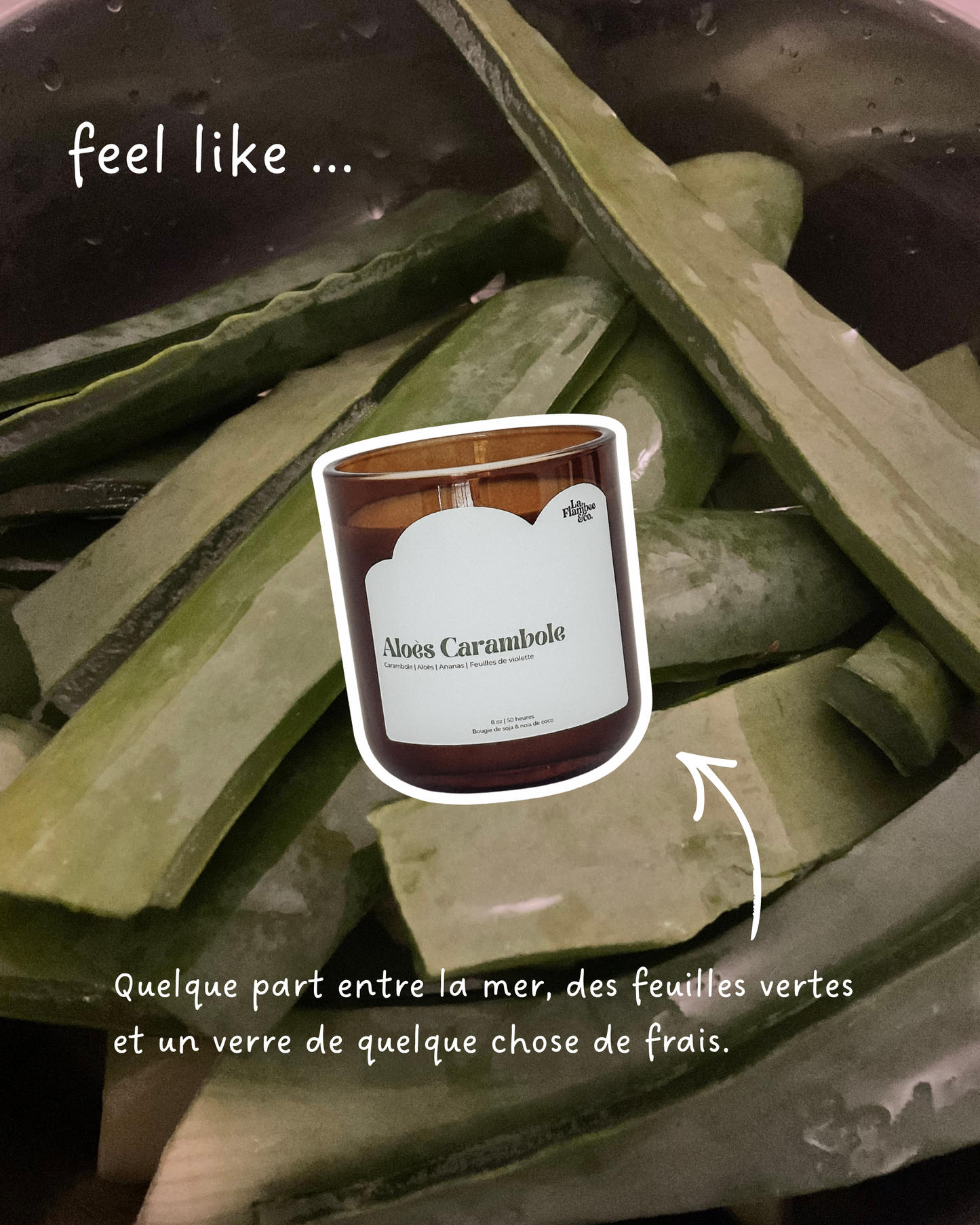 Bougie Aloès Carambole