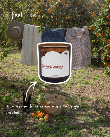 Bougie Nectar D’abricot